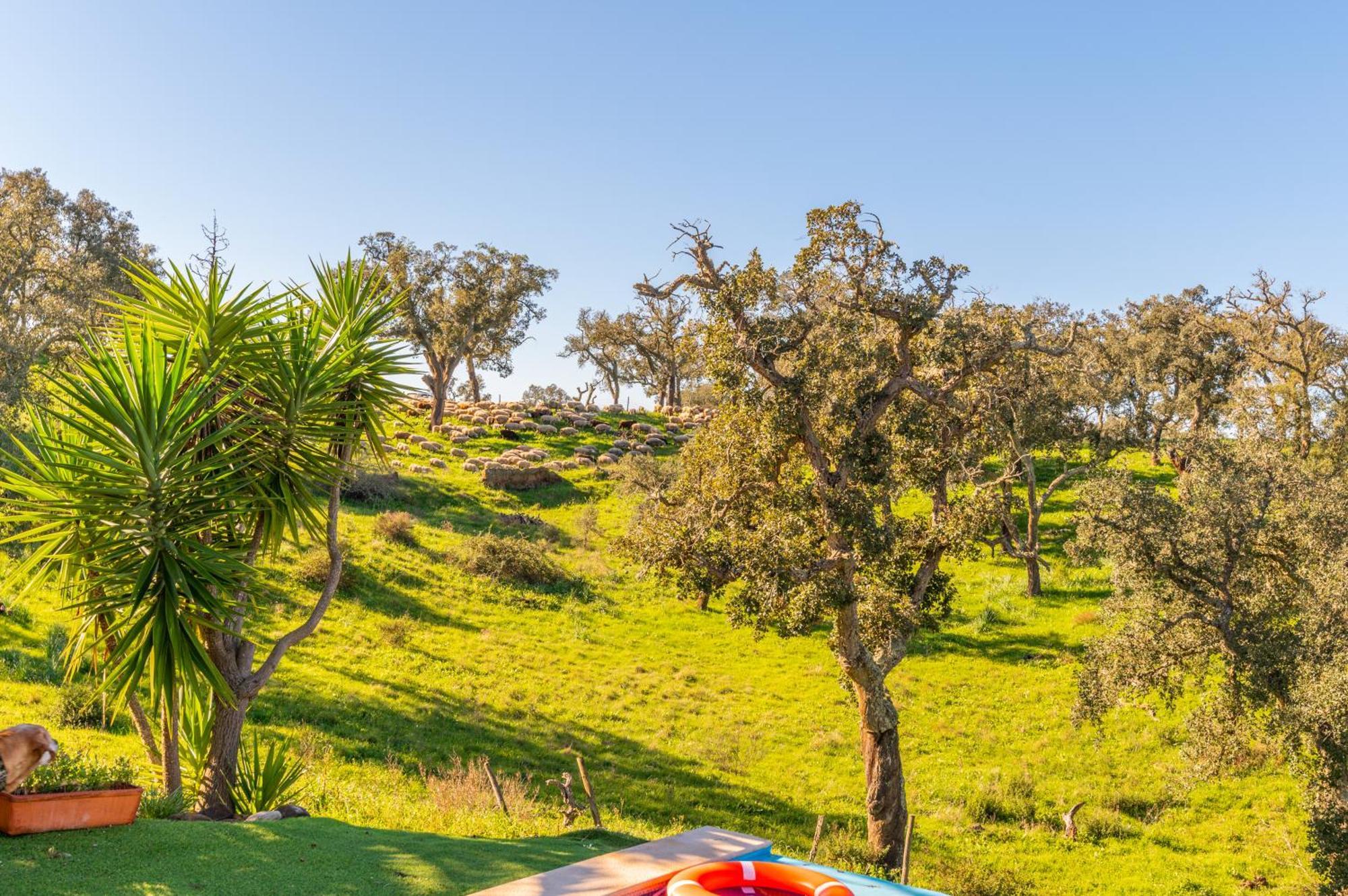 Sierra Melides Villa,Alentejo, Br2 With Private Pool, Br3 With Private Pool - Near Beach Sao Francisco da Serra Phòng bức ảnh